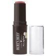 BURT S BEES - All Aglow Lip & Cheek Stick Peony Pool - 0.32 oz. (9 g) Online Sale