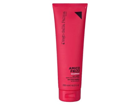 Diego dalla Palma - Amico Frizz - Shampoo Anticrespo - Capelli Indisciplinati & Secchi - Anti-Frizz Shampoo - Dry And Unruly Hair For Sale