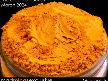 Color Lab Orange: B05-E10 (Marigolds) Online