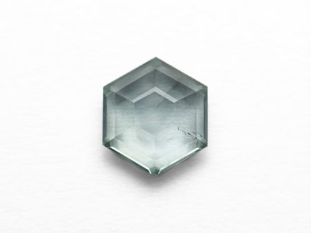 0.99ct 6.42x5.62x2.68mm Hexagon Portrait Cut Sapphire 23677-09 Hot on Sale