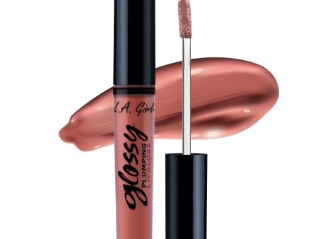 Glossy Plumping Lipgloss For Cheap