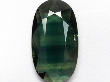 2.63ct 13.99x7.82x2.16mm Oval Portrait Cut Sapphire 23433-26 Hot on Sale